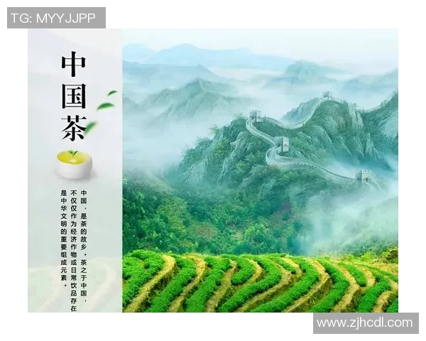 茶叶的世界：品味、文化与健康的深度探索